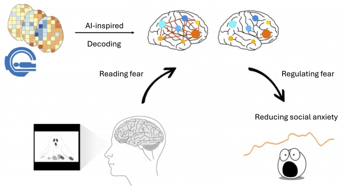 Researchers at HKU have unveiled a transformative approach to understanding and treating social anxiety, challenging decades of laboratory-based assumptions and opening doors to targeted therapies.